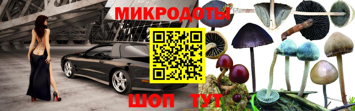 Псилоцибиновые грибы ЛСД  Вход с VPN  магазин  наркотиков  Мелеуз 